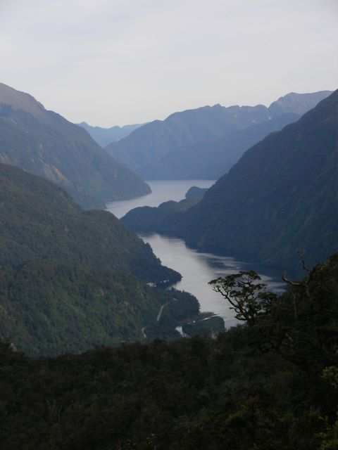 Der Doubtful Sound aus 650m Hoehe betrachtet.