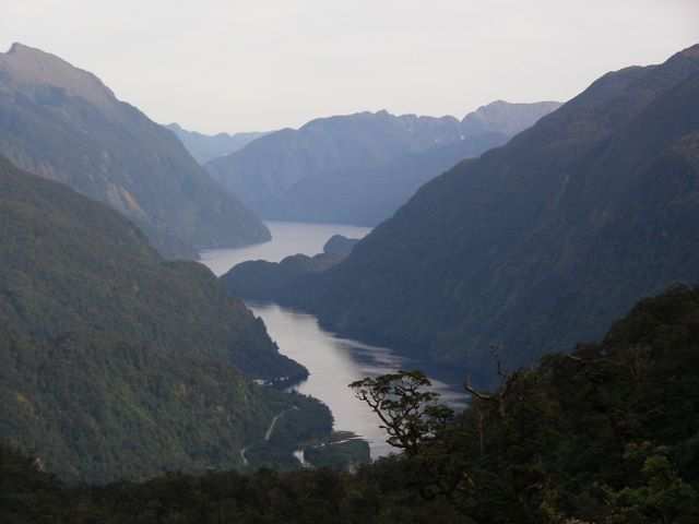 Das Fjord ist ca. 40 km lang.