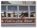 In den guten Haenden von Eulen Joy Liner.