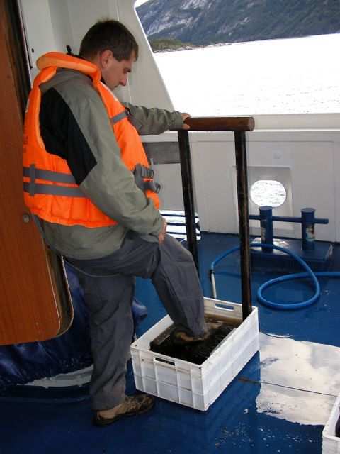 Schnel Schuhe abputzen und bordfein machen.
