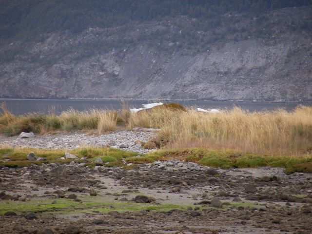 Dafuer versteckt sich im Gras etwas anderes.
