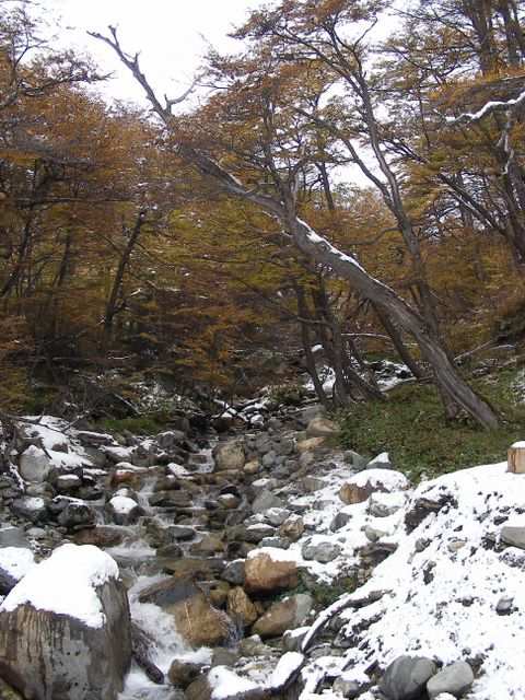 Feuerland & Kap Horn