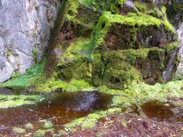 Hier war frueher ueberall Gletschereis und