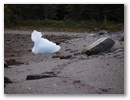 Ein riesiger Gletschereisbrocken am Strand.