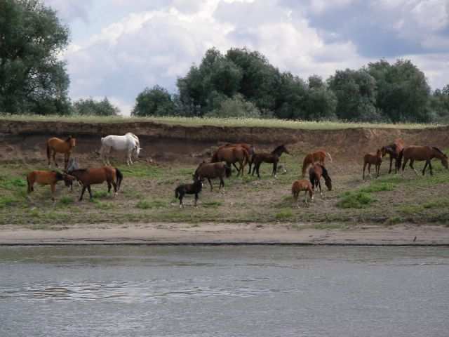 Sibirische Flussfahrt