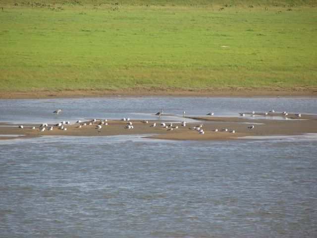 Sibirische Flussfahrt
