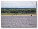 Sibirische Flussfahrt