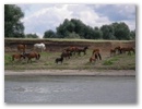 Sibirische Flussfahrt
