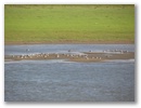 Sibirische Flussfahrt