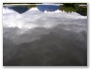 Stille Wasser sind tief.