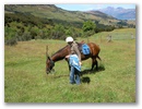 Glenorchy