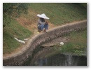 Guilin - obs bald beisst?