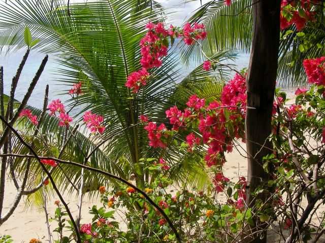 ...Blumen...