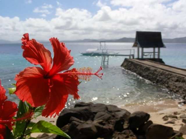 ...Blumen und Meer.