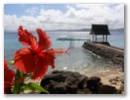 ...Blumen und Meer.