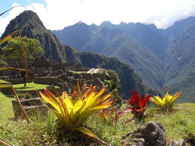 Inka Trail & Machu Picchu