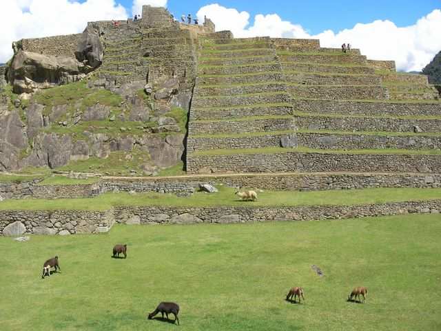 Inka Trail & Machu Picchu