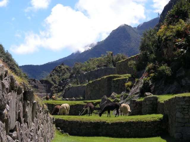 Inka Trail & Machu Picchu