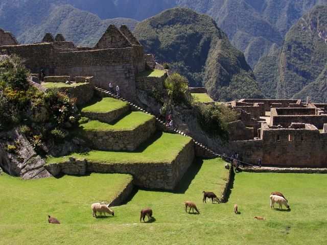 Inka Trail & Machu Picchu