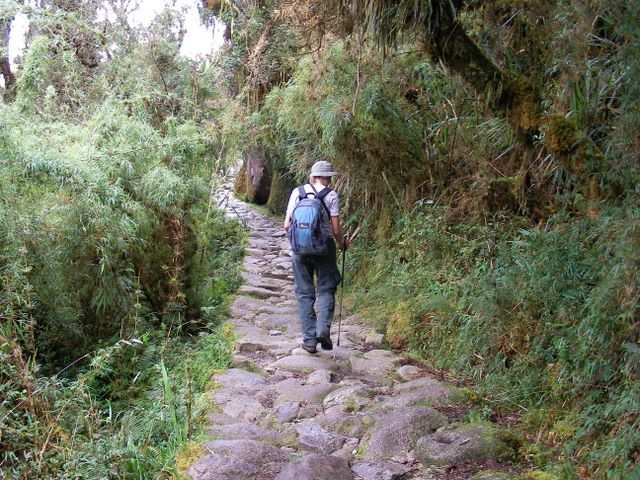 Doch wo es bergab geht, geht's auch wieder bergauf. In diesem Fall zum dritten und letzt Pass des Inka Trails.