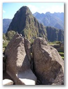 Inka Trail & Machu Picchu