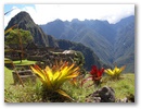 Inka Trail & Machu Picchu