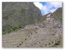 Inka Trail & Machu Picchu