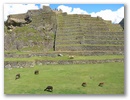 Inka Trail & Machu Picchu