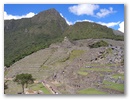 Inka Trail & Machu Picchu