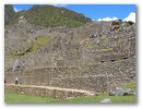Inka Trail & Machu Picchu