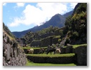 Inka Trail & Machu Picchu
