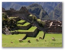 Inka Trail & Machu Picchu