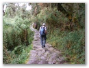 Doch wo es bergab geht, geht's auch wieder bergauf. In diesem Fall zum dritten und letzt Pass des Inka Trails.