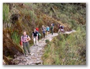 Heute wandern wir alle ziemlich dicht zusammen.