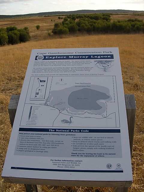 Wir sind tatsaechlich an der Murray Lagoon angekommen.