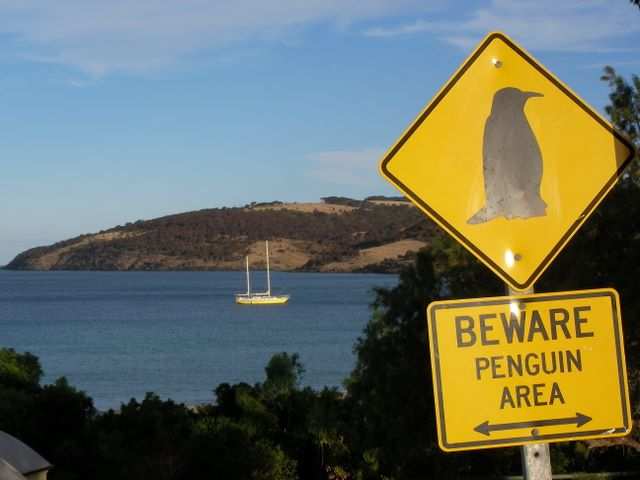 Ankunft in Penneshaw - Pinguin Gebiet.