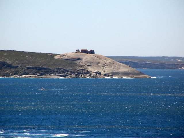 In der Entfernung die “Remarkable Rocks”. Mit dem Fahrrad keine Reise wert. Wir sind einfach viel zu platt.