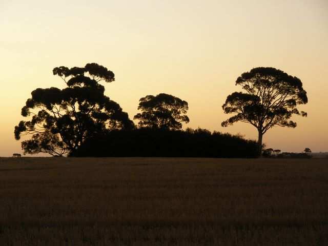Abenddaemmerung 1.