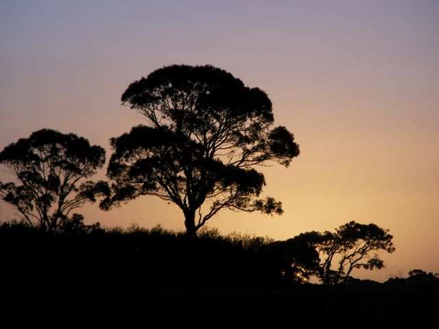 Abenddaemmerung 2.