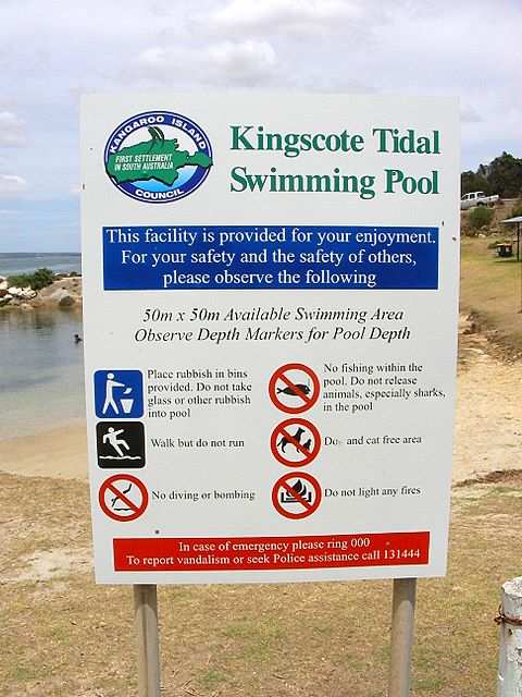 “Do not release animals, especially sharks, in the pool.” Aha!