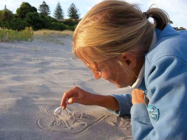 Spile im Sand.