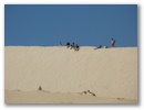 Little Sahara ist eine grosse Sandduene.