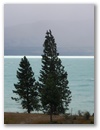 Lake Takapo