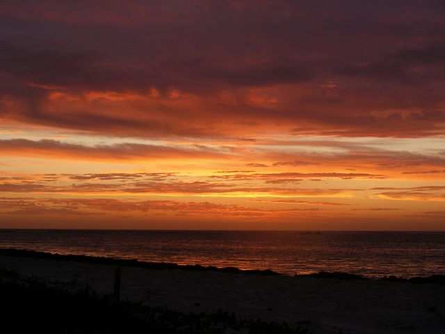 Surfing in Lancelin