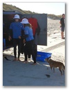 Surfing in Lancelin