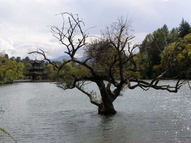 Lijiang - Nessie?