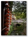 Lijiang - Und alles sieht sehr chinesich aus!