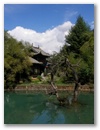 Lijiang - Tote Baeume mit Charme