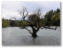 Lijiang - Nessie?
