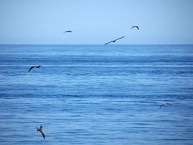 Mancora